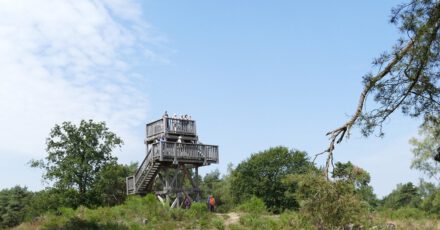 Uitkijktoren Nationaal Park De Meinweg Roermond